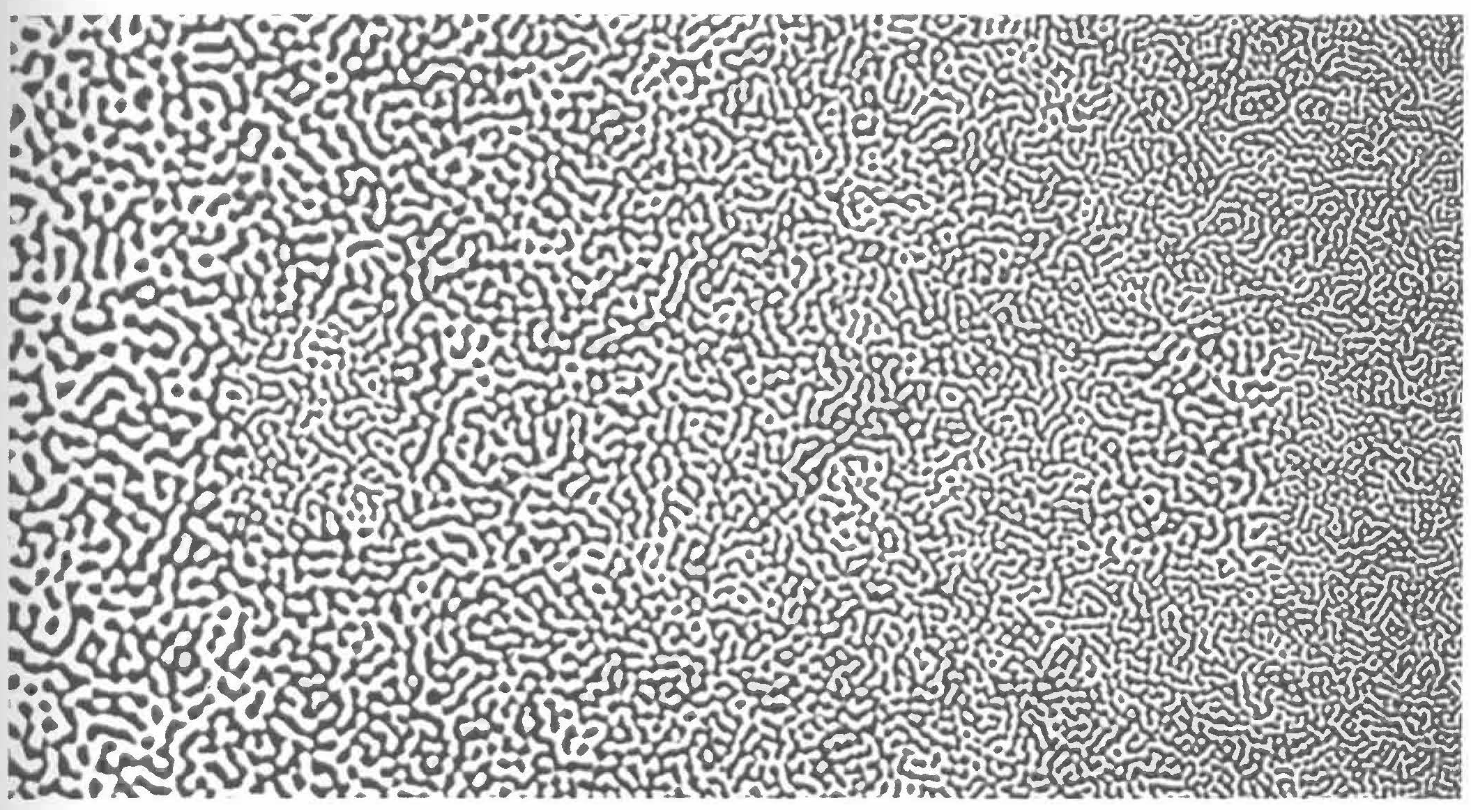 Our attention is drawn to contrasts to the norm. What stands out in this example image?, which is originally from C. Ware, *Information Visualization: Perception for Design*, 2004? Source: S. Few, *Now You See It*, 2009, p. 33.