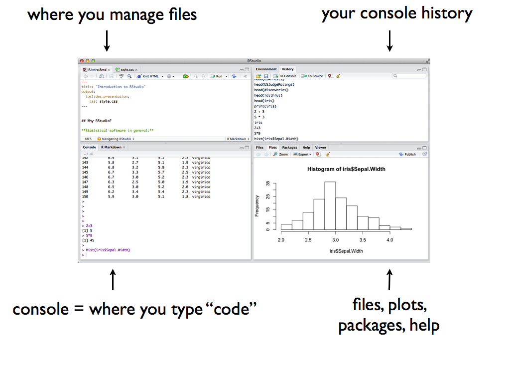 RStudio Interface