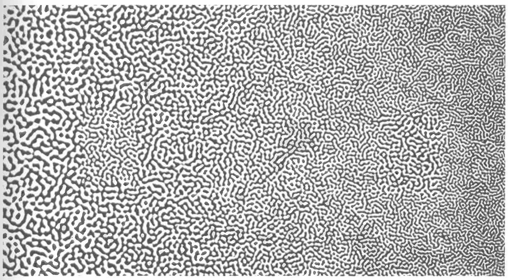Black patterns on white background demonstrating visual perpection is drawn toward contrast. Originally from C. Ware, *Information Visualization: Perception for Design*, 2004? Source: S. Few, *Now You See It*, 2009, p. 33.